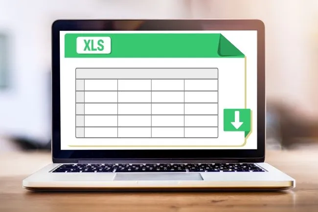 MS Excel