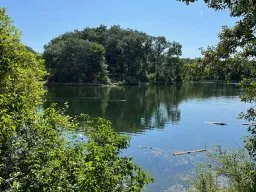 Lobau