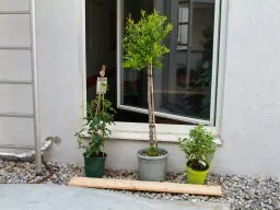 Gedachte Anordnung