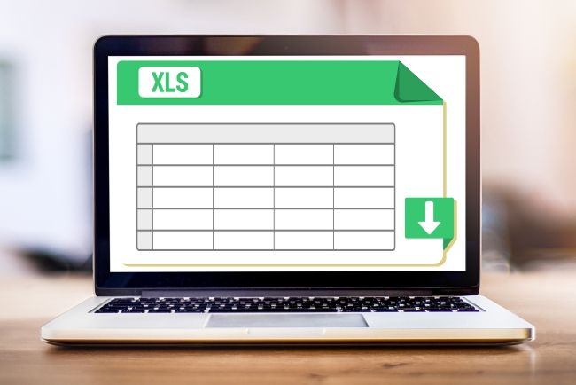 MS Excel