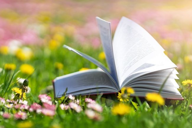 Ein aufgeschlagenes Buch auf einer Frühlingswiese voller Blumen.