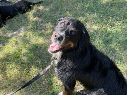 FUN in der Lobau (29)