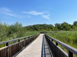 FUN in der Lobau (26)